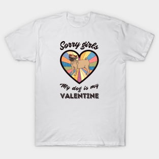 Sorry girls my dog is my Valentine - a retro vintage design T-Shirt